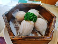 虾饺-明腾壹间茶餐厅(新都会花园广场店)