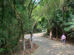 -滴水岩森林公园