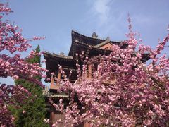 -西安青龙寺遗址景区
