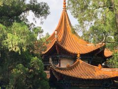 -昆明动物园