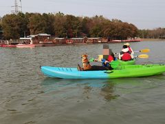 -上海海湾国家森林公园