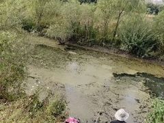 -长春市南湖公园