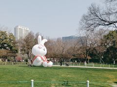-红梅公园