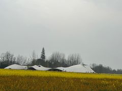 -中国天府农业博览园