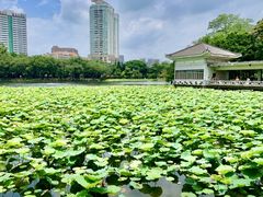 -荔湾湖公园