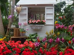 -国家植物园南园