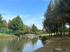 -西山漾湿地公园