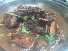 -德百温泉大观园生态餐厅(夏津店)