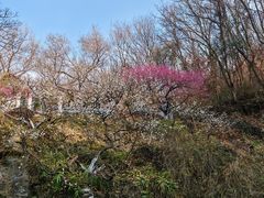 -南山风景名胜区