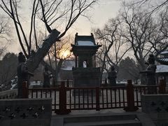 -晋祠公园