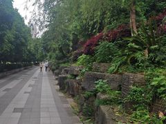 -高桥现代商贸城