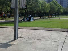 -新江湾城公园