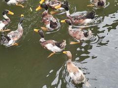 -浙江省博物馆(孤山馆区)