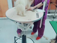 -惠康宠物医院(华能路店)