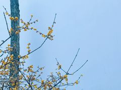 -太平天国历史博物馆(瞻园)