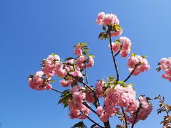 -永定河休闲森林公园