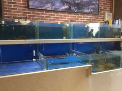 水产区-姜君·千岛湖鱼头馆(浦东大道店)