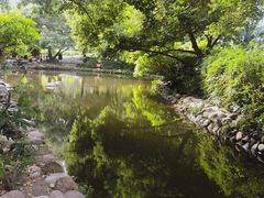 -成都市活水公园