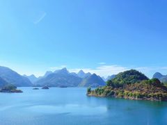 -银峰农庄·特色烧鸡·鲜无花果浸鸡