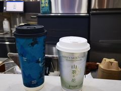 -雾与山茶(大禹城店)