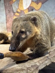 -Zoolung Zoolung动物主题公园(海信广场店)