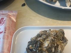 -杨氏青龙虾·羊蝎子(珠江路店)