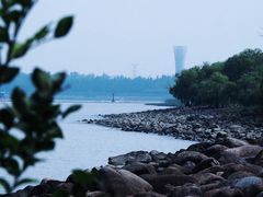-上海吴淞炮台湾国家湿地公园