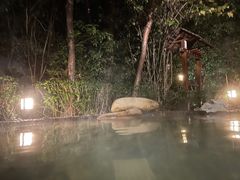 -天目湖涵田半山温泉水乐园