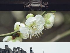 -北寺塔