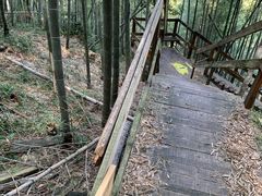 -宁波浙东大竹海景区