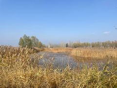 -野鸭湖国家湿地公园