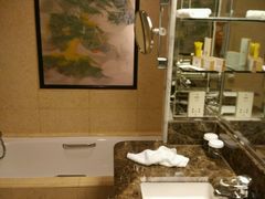 -新加坡乌节希尔顿酒店 (SG Clean)