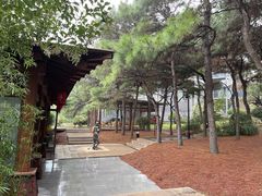 -东海森林温泉度假酒店
