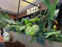 -同仁四季椰子鸡(宝安壹方城店)