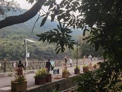 -滴水岩森林公园