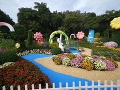 -上海共青森林公园