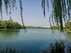 -河北省园博园