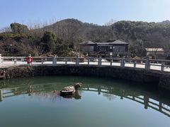 -白马涧龙池景区