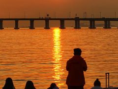 -宝安西湾红树林湿地公园