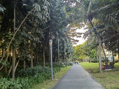 -深圳湾公园(南山区)