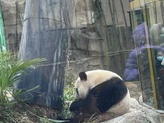 -武汉动物园
