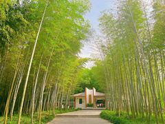-求雨山文化公园