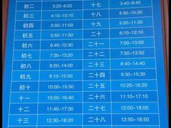 -奉贤海滩