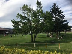 -轻井泽王子购物广场
