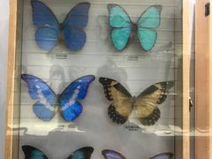 -大连自然博物馆·地球展厅