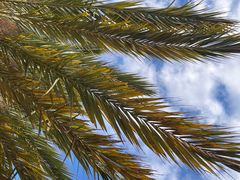 -清真·京华源铜锅涮肉(丰庆店)