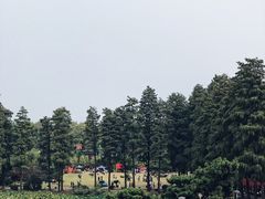-东湖磨山景区