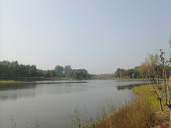 -东郊湿地公园