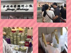 -珍妮曲奇聪明小熊(尖沙咀店)