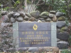 -张家港金凤凰度假村温泉